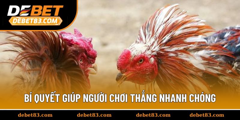 Bí quyết giúp người chơi thắng nhanh chóng