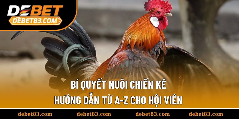 bi-quyet-nuoi-chien-ke