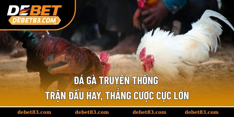 da-ga-truyen-thong-thumb