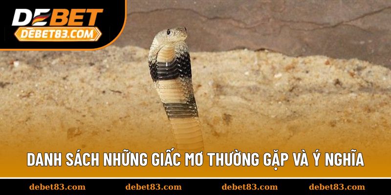 Danh sách những giấc mơ thường gặp và ý nghĩa