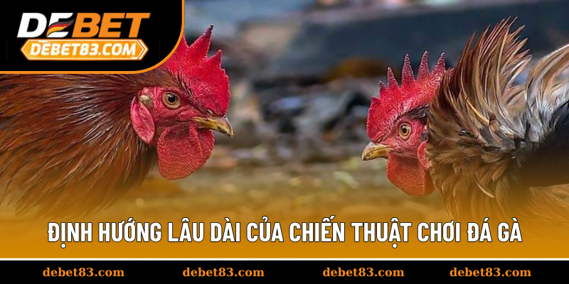 Định hướng lâu dài của chiến thuật chơi đá gà