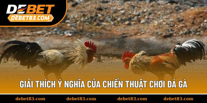 Giải thích ý nghĩa của chiến thuật chơi đá gà