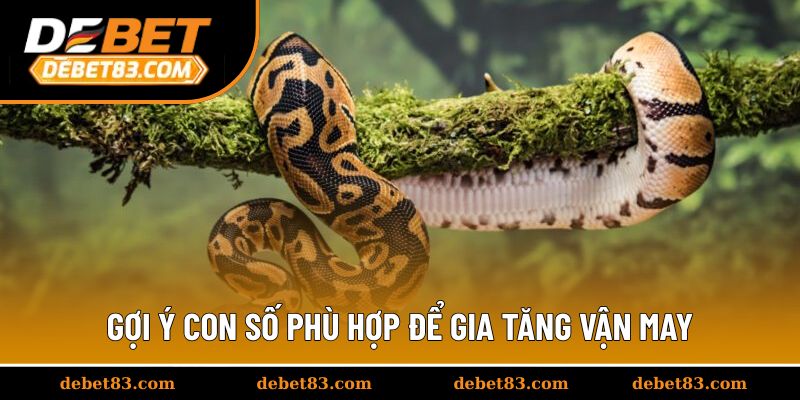 Gợi ý con số phù hợp để gia tăng vận may