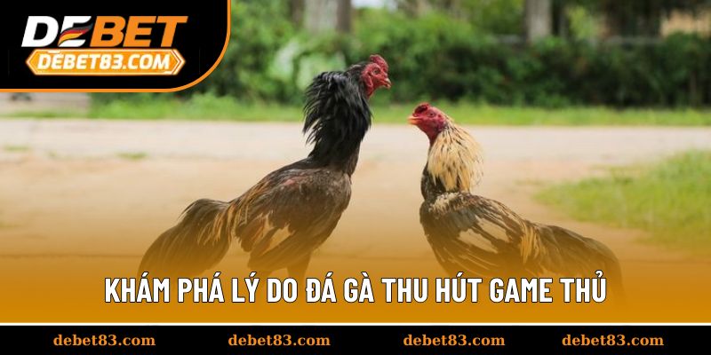 Khám phá lý do đá gà thu hút game thủ