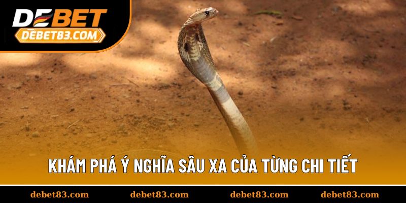 Khám phá ý nghĩa sâu xa của từng chi tiết