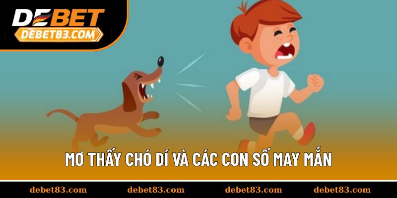 Mơ thấy chó dí và các con số may mắn