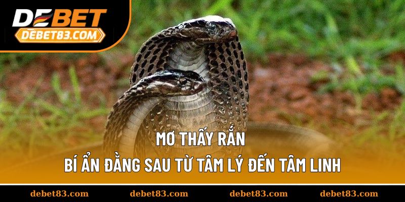 mo-thay-ran-thumb