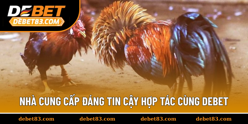 Nhà cung cấp đáng tin cậy hợp tác cùng Debet