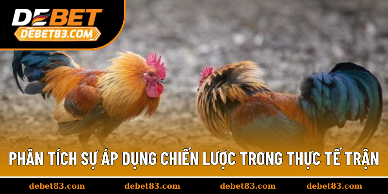 Phân tích sự áp dụng chiến lược trong thực tế trận