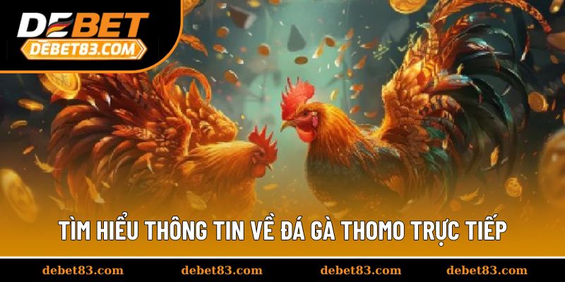 Tìm hiểu thông tin về đá gà Thomo trực tiếp