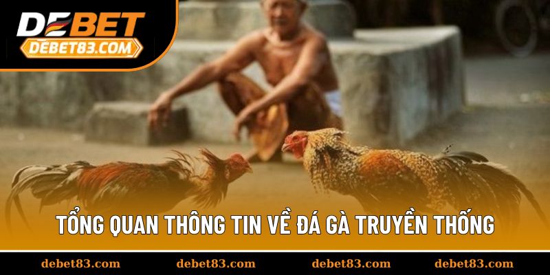 Tổng quan thông tin về đá gà truyền thống