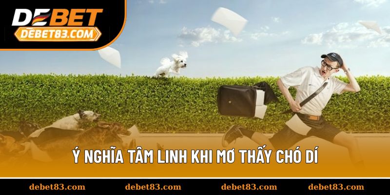 Ý nghĩa tâm linh khi mơ thấy chó dí